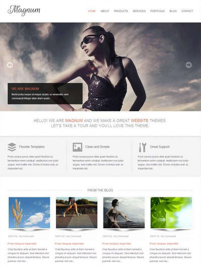 html5响应式个人博客图片展示类静态网站模板下载