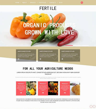简单国外蔬菜水果种植生产html网页模板