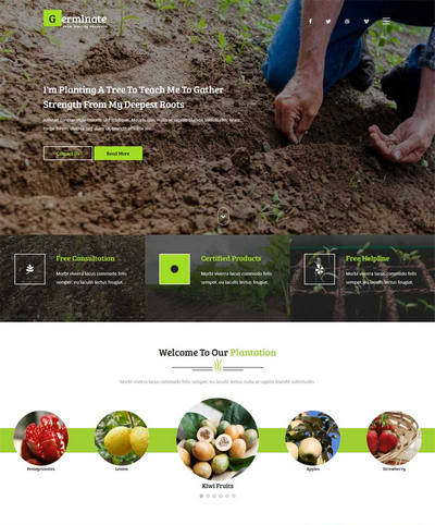 宽屏蔬菜水果农业种植网站html模板下载