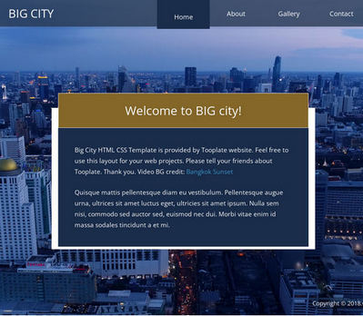 动态视频背景旅游公司静态html模板